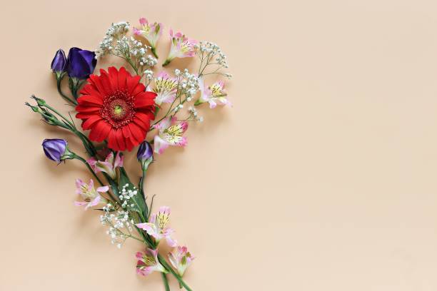 istock Festive flower composition on pastel background. 1346214485