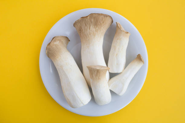 Mushrooms eringi in the white plate on the yellow background. Top view. Close-up.
