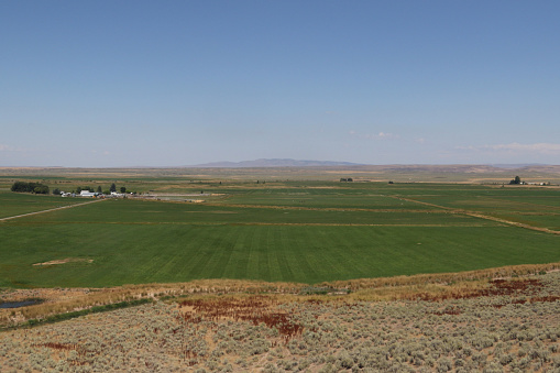 Irrigated farmland near Jordan Valley, Oregon