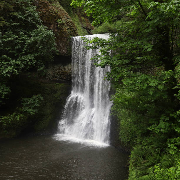 istock Lower South Falls at Silver Falls State Park, Oregon 1346216517