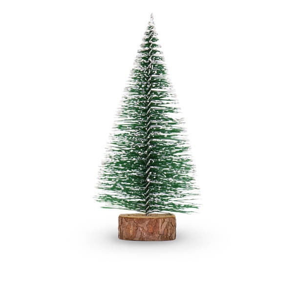istock Small fir tree isolated on white background 1346217938