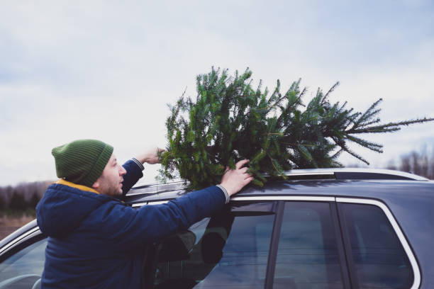 Man the Christmas tree on top of the car