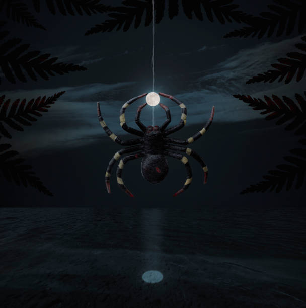 Spider Spider caught the moon in its spider web spinning web stock pictures, royalty-free photos & images