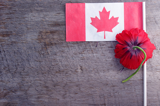 red poppy flower bloom on rustic wooden background with copy space with Canadian flag