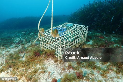 istock Lobster pot in the Mediterranean Sea 1346219489