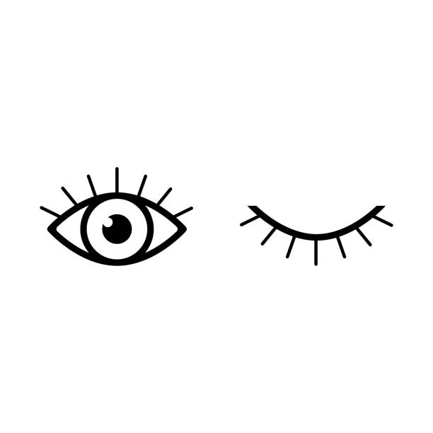 ilustrações de stock, clip art, desenhos animados e ícones de eyes and eyelashes icon isolated on white background - close up of iris