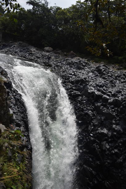 pailón del diablo cascata del río verde - waterfall woods green river foto e immagini stock