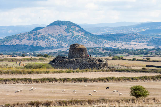 paysage magnifique avec l’ancien santu antine nuraghe et quelques moutons paissant au premier plan. santu antine nuraghe est l’un des plus grands nuraghi de sardaigne, en italie. - nuragic photos et images de collection