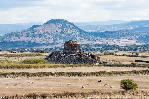 Stunning landscape with the ancient Santu Antine Nuraghe and some sheep grazing in the foreground. Santu Antine Nuraghe is one of the largest Nuraghi in Sardinia, Italy.
