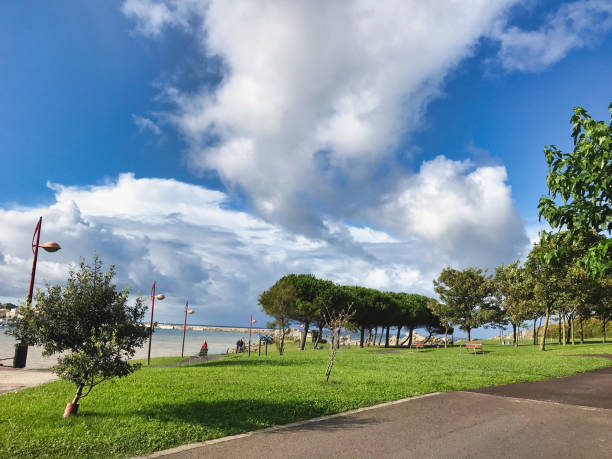 istock Beautiful park on the coast during sunset 1346226029
