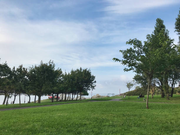 istock Beautiful park on the coast during sunset 1346226041