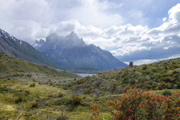 istock Lake Pehoe view, Torres del Paine, Chile 1346230298