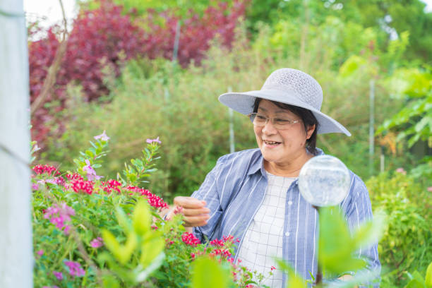 istock Senior women enjoying gardening. 1346230955
