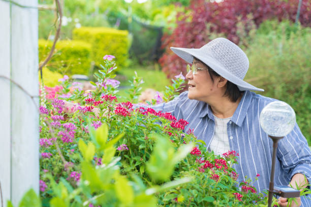 istock Senior women enjoying gardening. 1346230986