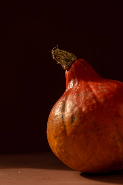 concepto otoñal con una calabaza sobre fondo oscuro con hojas otoñales. celebrando halloween y acción de gracias - five objects audio fotografías e imágenes de stock