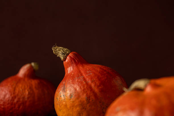 conceito de outono com uma abóbora em um fundo escuro com folhas de outono. celebrando o halloween e ação de graças - five objects audio - fotografias e filmes do acervo