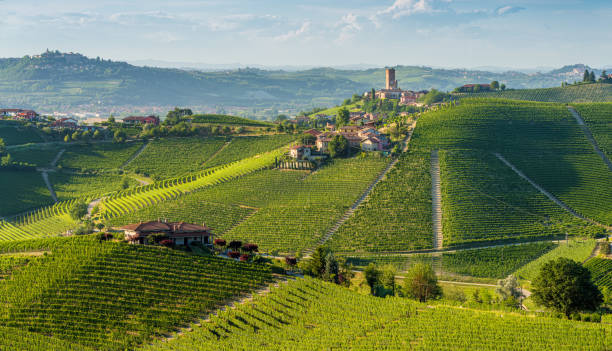 Beautiful hills and vineyards surrounding Barbaresco village in the Langhe region. Cuneo, Piedmont, Italy. stock photo
