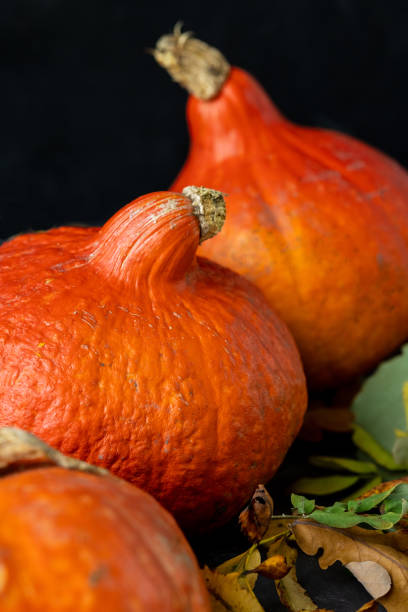 concepto otoñal con una calabaza sobre fondo oscuro con hojas otoñales. celebrando halloween y acción de gracias - five objects audio fotografías e imágenes de stock