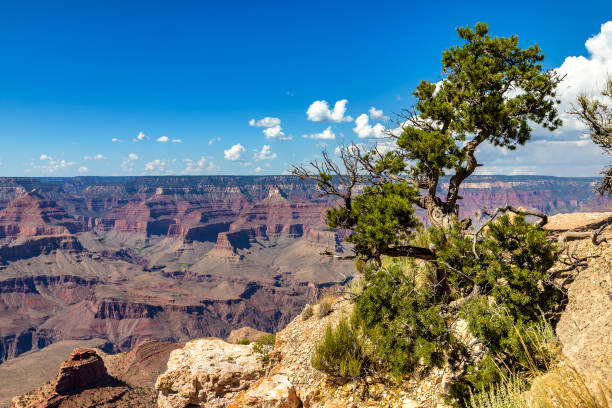 istock Grand Canyon National Park 1346238656