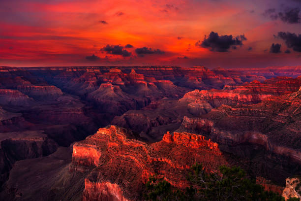 istock Grand Canyon National Park 1346239461