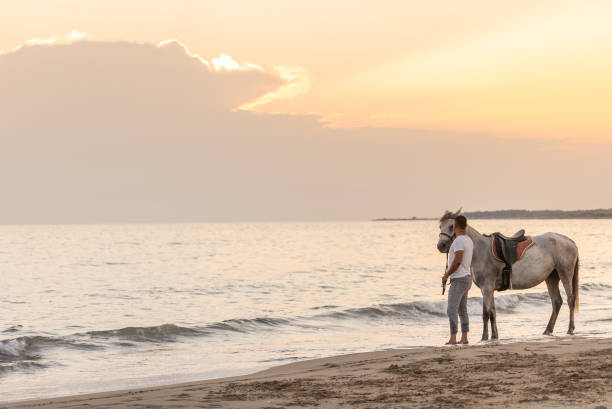 istock Man standing with his Horse on the beach by sunset. 1346239513