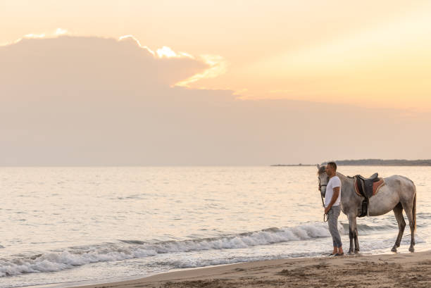 istock Man standing with his Horse on the beach by sunset. 1346239536