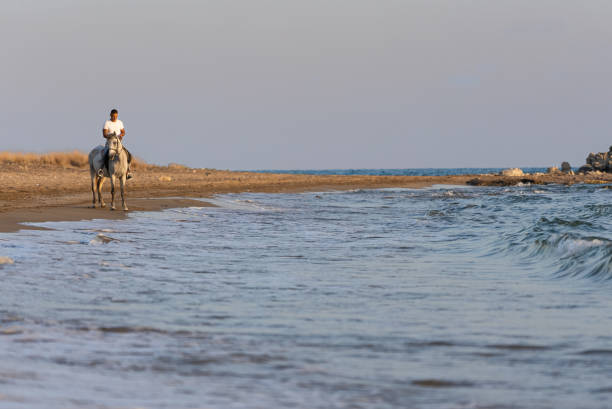 istock Man rides a gray horse on the beach . 1346239742