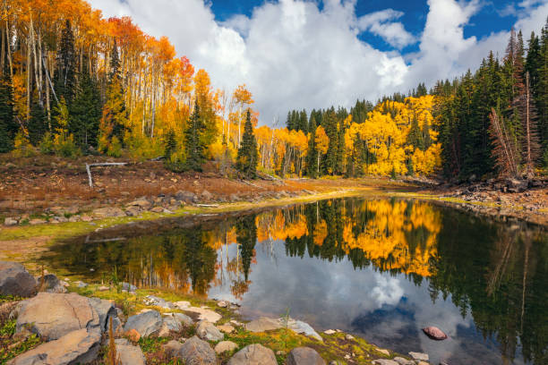 Autumn landscape with Aspen trees at Mesa Lakes on Grand Mesa, Colorado stock photo