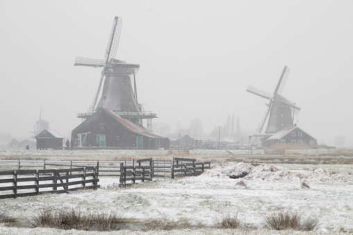Windmills covered with snow in the famous picturesque village of De Zaanse Schans in the Netherlands.