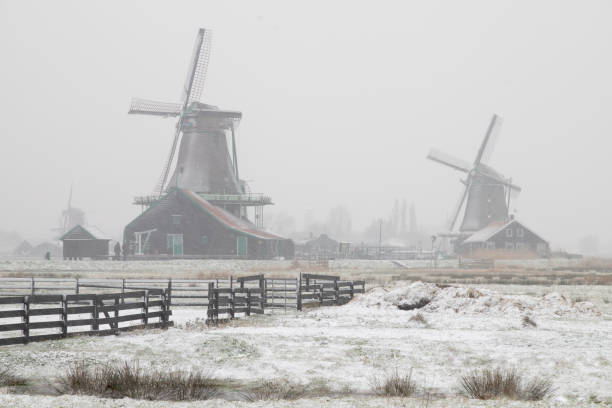荷兰冬季场景与风车和荷兰哈勒姆河库存照片| FreeImages
