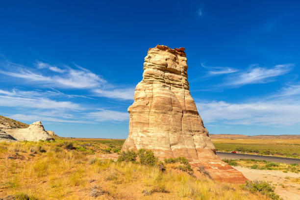 istock Elephant Feet in Navajo nation reservation 1346240046