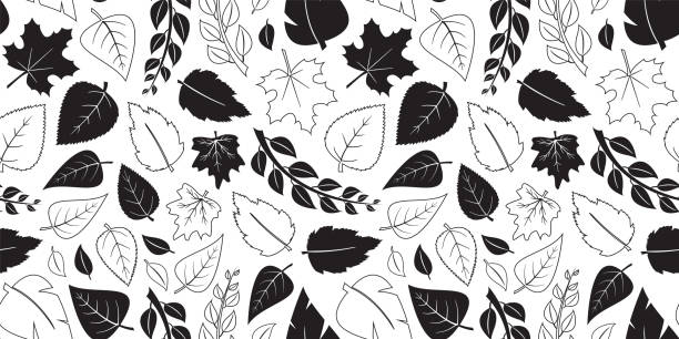 jesienne liście wektorowe bezszwowy wzór, opadają czarne płaskie i konturowe wzory. tło przyrodnicze. prosty sezon - elm tree obrazy stock illustrations