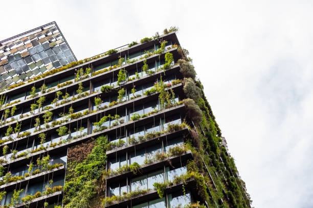 Low angle view of apartment building with vertical gardens and heliostat, sky background with copy space Low angle view of apartment building with vertical gardens and heliostat with motorised mirrors, sky background with copy space, Green wall-BioWall or living wall is a wall covered with living plants on residential tower in sunny day, Sydney Australia, full frame horizontal composition heliostat photos stock pictures, royalty-free photos & images