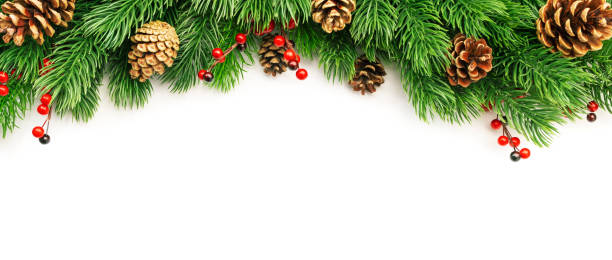 istock Christmas and New Year background with green spruce branches, white banner, top view, copy space 1346244186