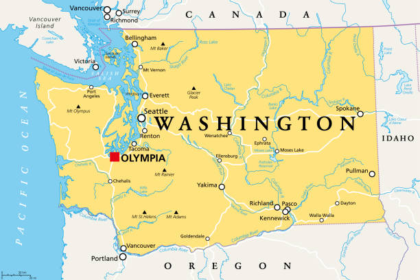 Washington, WA, political map, US state, The Evergreen State Washington, WA, political map with the capital Olympia. State in the Pacific Northwest region of the Western United States of America. State of Washington, with nickname The Evergreen State. Vector. mt rainier stock illustrations