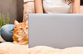 frau-mit-laptop-und-katze.jpg?b=1&s=170x170&k=20&c=WQw5ZEV4o1PvU-NuGj73gSmV84W4jI-Kml0BCcOMGYI=