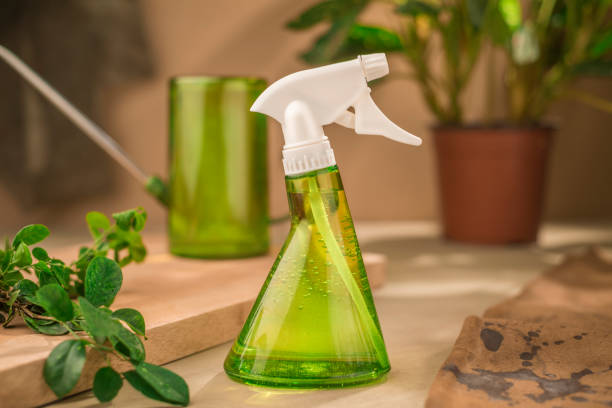 indoor plant spray bottle An elegant transparent light green eco friendly sprayer, ideal for indoor plant care, bonzi or plants in general. insecticide photos stock pictures, royalty-free photos & images