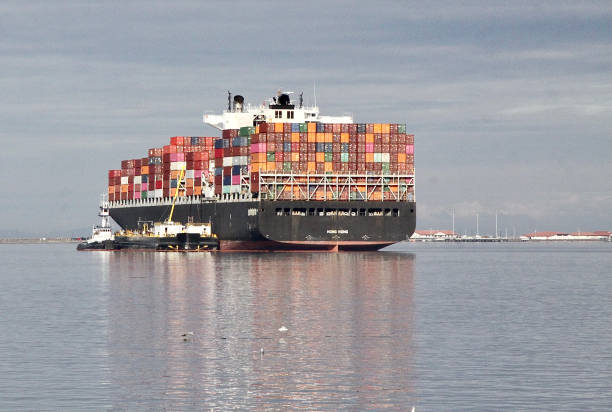 istock An Asian Cargo Freighter Waiting Its Turn To Unload 1346252860