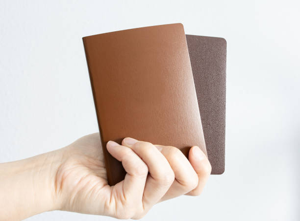 mano humana con dos libretas de pasaporte en blanco. - passport blank book cover empty fotografías e imágenes de stock