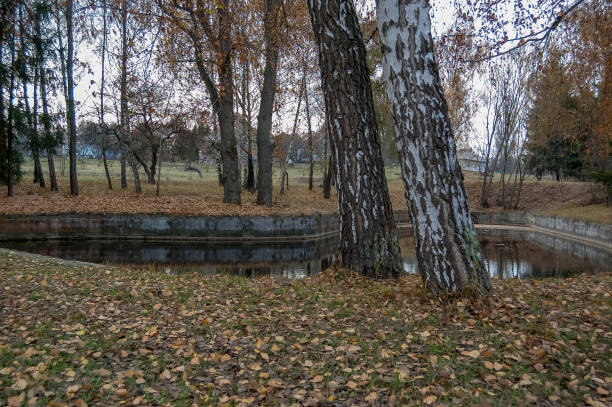 istock small lake in the public park 1346257038