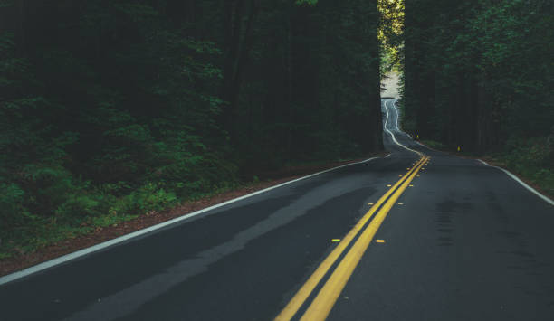 istock California Coastal 101 Redwood Highway 1346257904
