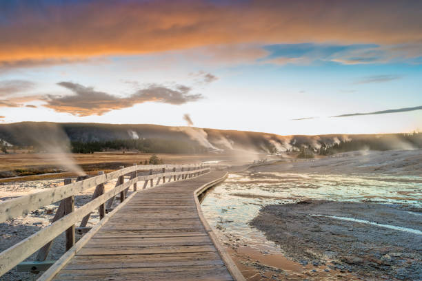 Boardwalk and group of geysers at Geyser Hill in Yellowstone National Park in Wyoming, USA