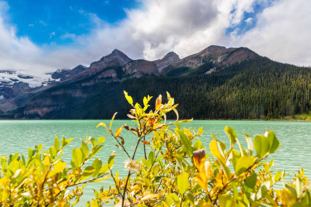 istock Lake Louise, Banff National Park 1346259414