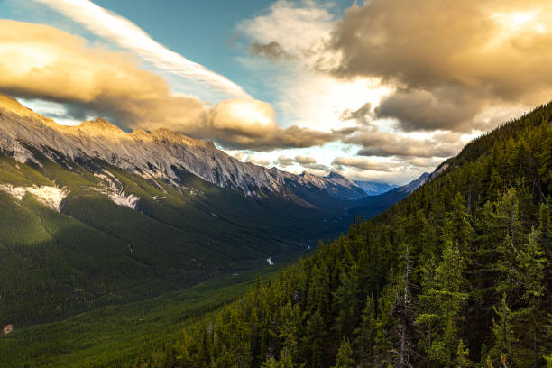 istock Bow Valley in Banff national park 1346259679
