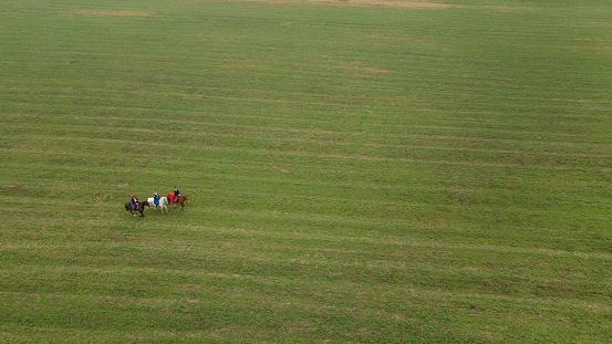 Aerial view of group of fox hunters on the horses in the autumn field. Equestrian riding sport in a countryside. Traditional hunting concept.