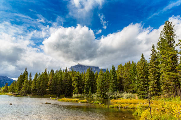 istock Johnson lake in Banff 1346261269