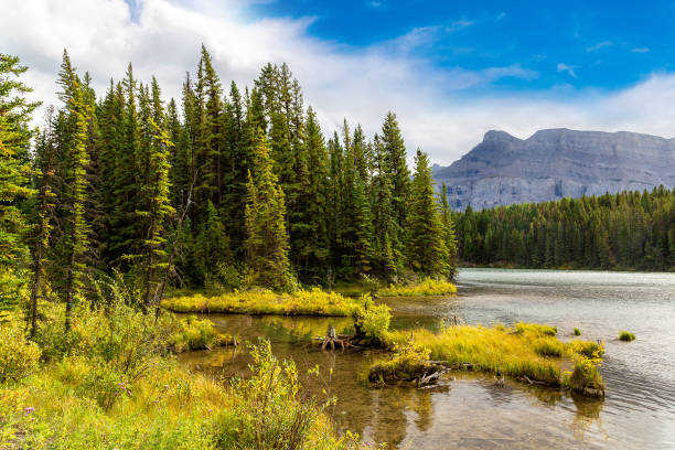 istock Johnson lake in Banff 1346261344