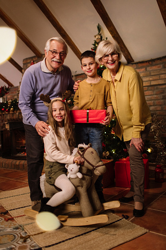 This Is All They Need For Christmas Stock Photo Download Image Now this-is-all-they-need-for-christmas-stock-photo-download-image-now