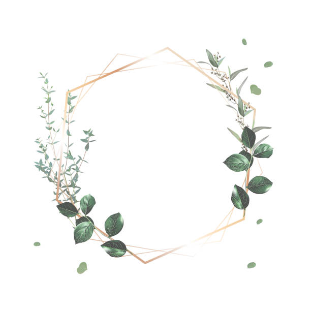 bildbanksillustrationer, clip art samt tecknat material och ikoner med herbal geometric vector frame. hand painted plants - bröllop