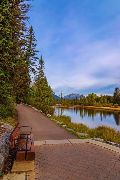 istock Waterside Walkway In A Canmore Park 1346264048